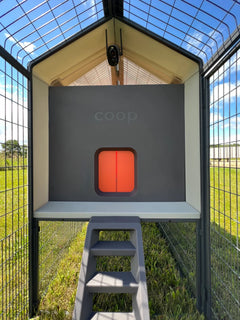 The Smart Coop The Smart Coop Unlimited+