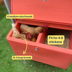 The Smart Coop The Smart Coop + Base (+ Free Baby Chicks! 🐣)