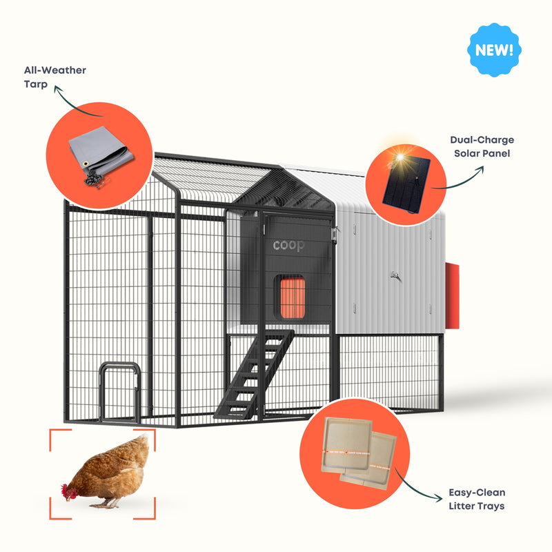 The Smart Coop The Smart Coop Unlimited+