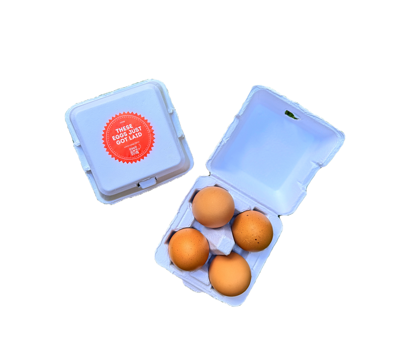 The Smart Coop 