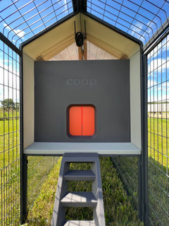 The Smart Coop The Smart Coop + Steel Run (+ Free Baby Chicks! 🐣)