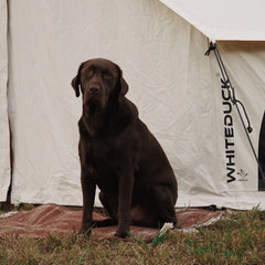 White Duck Outdoors 13' Avalon Bell Tent