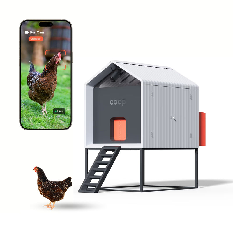 The Smart Coop The Smart Coop + Base (+ Free Baby Chicks! 🐣)