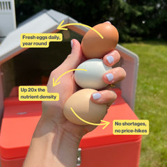 The Smart Coop The Smart Coop + Base (+ Free Baby Chicks! 🐣)