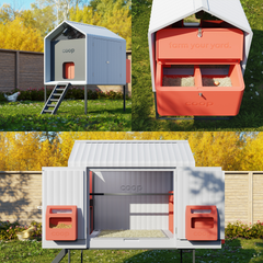 The Smart Coop The Smart Coop Unlimited+
