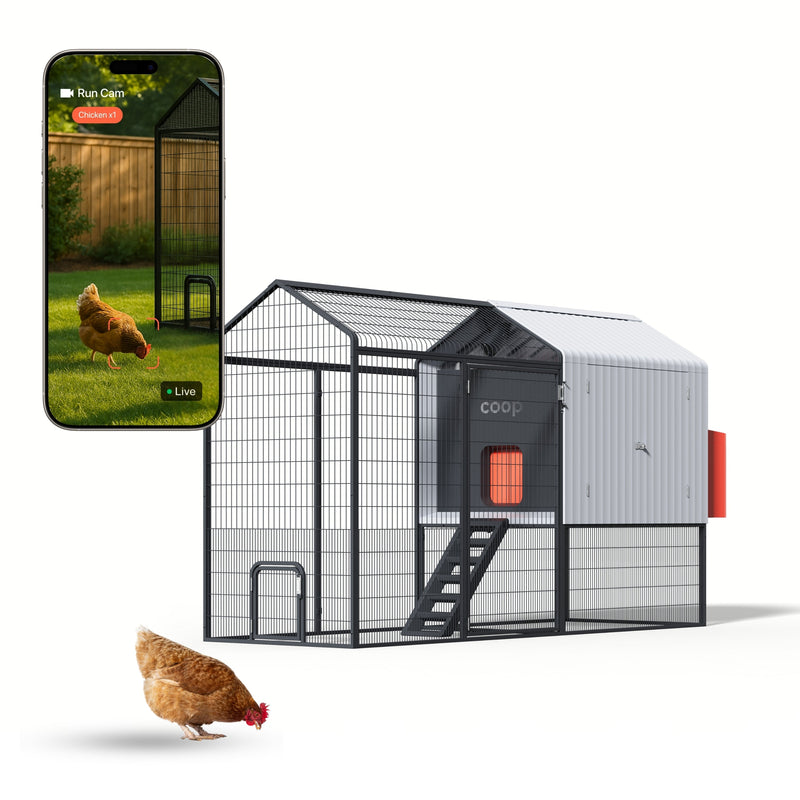 The Smart Coop The Smart Coop + Steel Run (+ Free Baby Chicks! 🐣)
